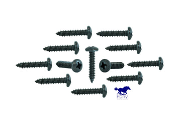 Mustang II Door Sill Plate Screws